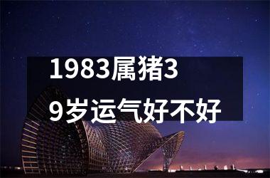 <h3>1983属猪39岁运气好不好