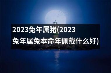 2025兔年属猪(2025兔年属兔本命年佩戴什么好)