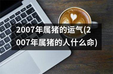 2007年属猪的运气(2007年属猪的人什么命)