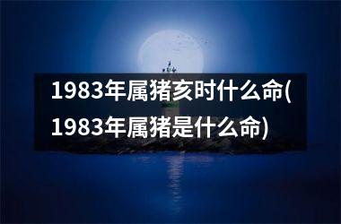 <h3>1983年属猪亥时什么命(1983年属猪是什么命)
