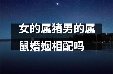 女的属猪男的属鼠婚姻相配吗