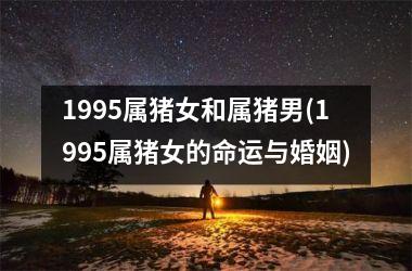 1995属猪女和属猪男(1995属猪女的命运与婚姻)