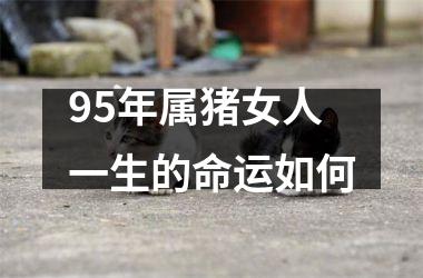 95年属猪女人一生的命运如何