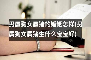 男属狗女属猪的婚姻怎样(男属狗女属猪生什么宝宝好)
