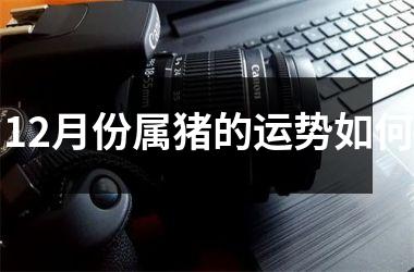 12月份属猪的运势如何