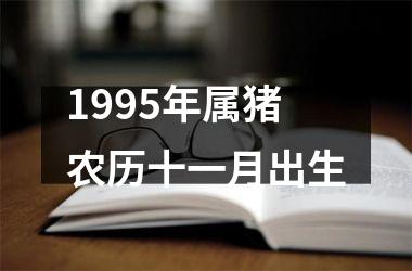 1995年属猪农历十一月出生
