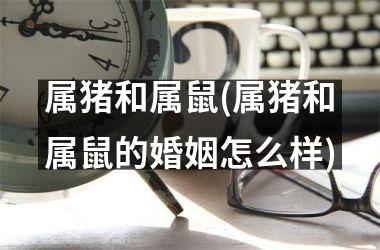 属猪和属鼠(属猪和属鼠的婚姻怎么样)