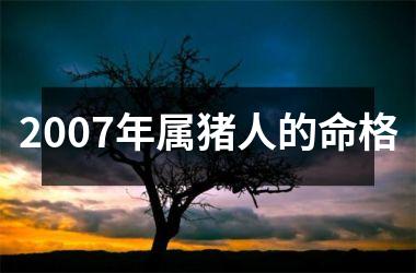 2007年属猪人的命格