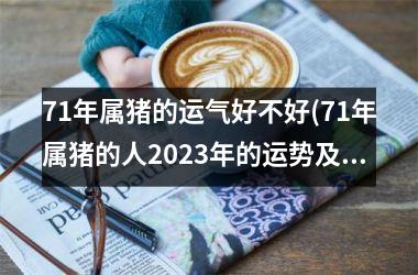 71年属猪的运气好不好(71年属猪的人2025年的运势及运程)