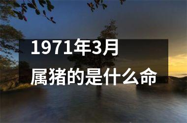 1971年3月属猪的是什么命