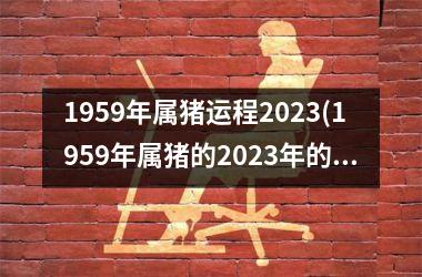 1959年属猪运程2025(1959年属猪的2025年的运势及运程)