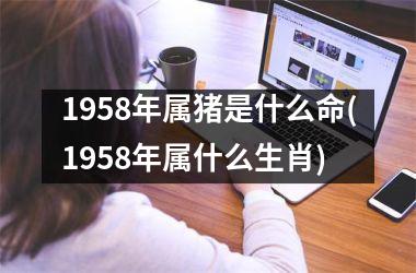 1958年属猪是什么命(1958年属什么生肖)