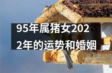 95年属猪女2025年的运势和婚姻