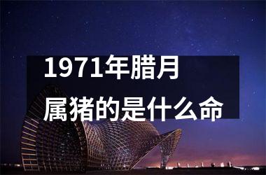 1971年腊月属猪的是什么命
