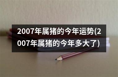 2007年属猪的今年运势(2007年属猪的今年多大了)