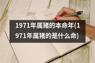 1971年属猪的本命年(1971年属猪的是什么命)