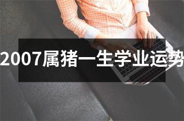 2007属猪一生学业运势