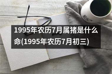 1995年农历7月属猪是什么命(1995年农历7月初三)