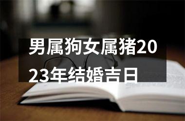 男属狗女属猪2025年结婚吉日