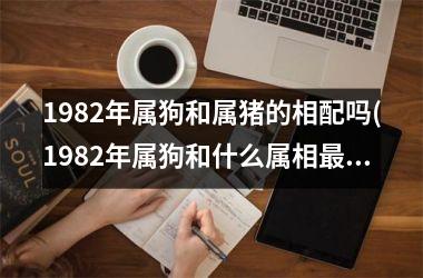 1982年属狗和属猪的相配吗(1982年属狗和什么属相最配)
