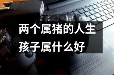 两个属猪的人生孩子属什么好