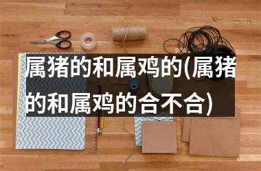 <h3>属猪的和属鸡的(属猪的和属鸡的合不合)