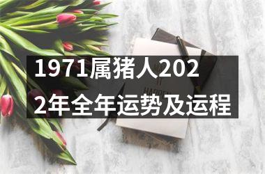 1971属猪人2025年全年运势及运程