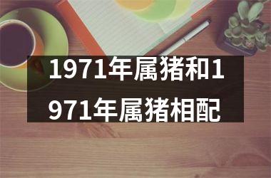 <h3>1971年属猪和1971年属猪相配