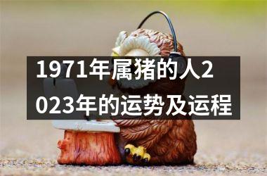 1971年属猪的人2025年的运势及运程