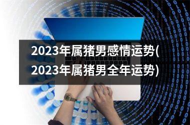 2025年属猪男感情运势(2025年属猪男全年运势)