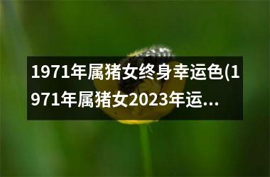 1971年属猪女终身幸运色(1971年属猪女2025年运势及运程)