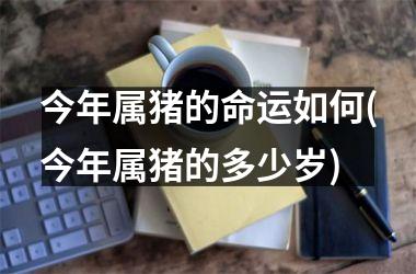 今年属猪的命运如何(今年属猪的多少岁)