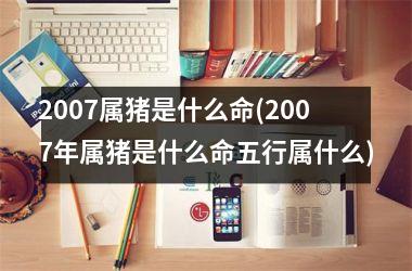 2007属猪是什么命(2007年属猪是什么命五行属什么)