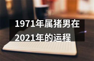 1971年属猪男在2025年的运程