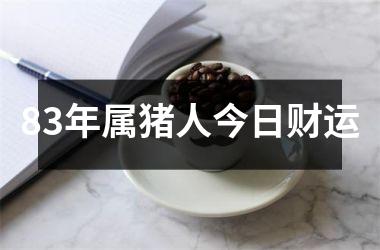 83年属猪人今日财运