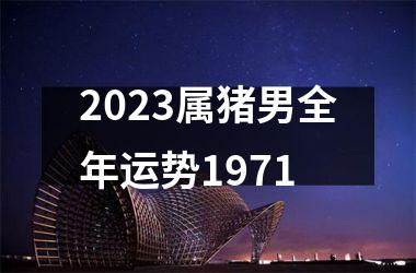 2025属猪男全年运势1971