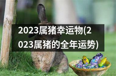 2025属猪幸运物(2025属猪的全年运势)