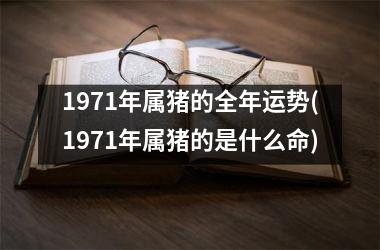 1971年属猪的全年运势(1971年属猪的是什么命)