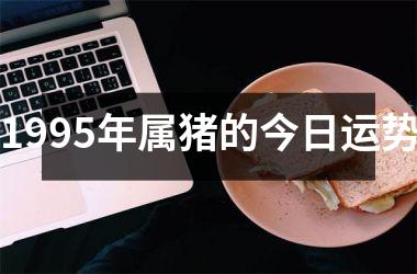 1995年属猪的今日运势