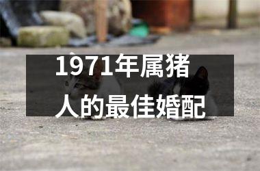 1971年属猪人的最佳婚配