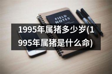 1995年属猪多少岁(1995年属猪是什么命)