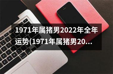 <h3>1971年属猪男2025年全年运势(1971年属猪男2025年运势及运程每月运程)