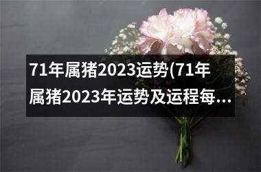 71年属猪2025运势(71年属猪2025年运势及运程每月运程)