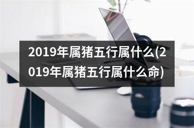 2019年属猪五行属什么(2019年属猪五行属什么命)