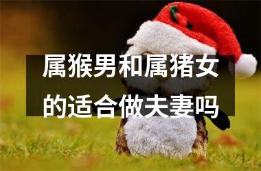 属猴男和属猪女的适合做夫妻吗