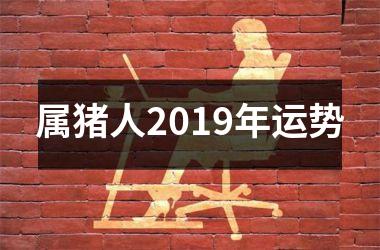 <h3>属猪人2019年运势