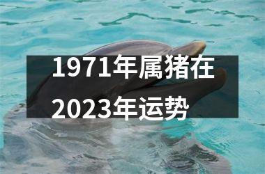 1971年属猪在2025年运势