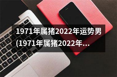 1971年属猪2025年运势男(1971年属猪2025年运势及运程男性)
