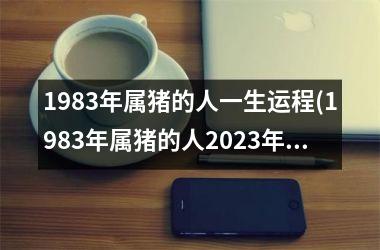 1983年属猪的人一生运程(1983年属猪的人2025年运势及运程)