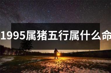 1995属猪五行属什么命